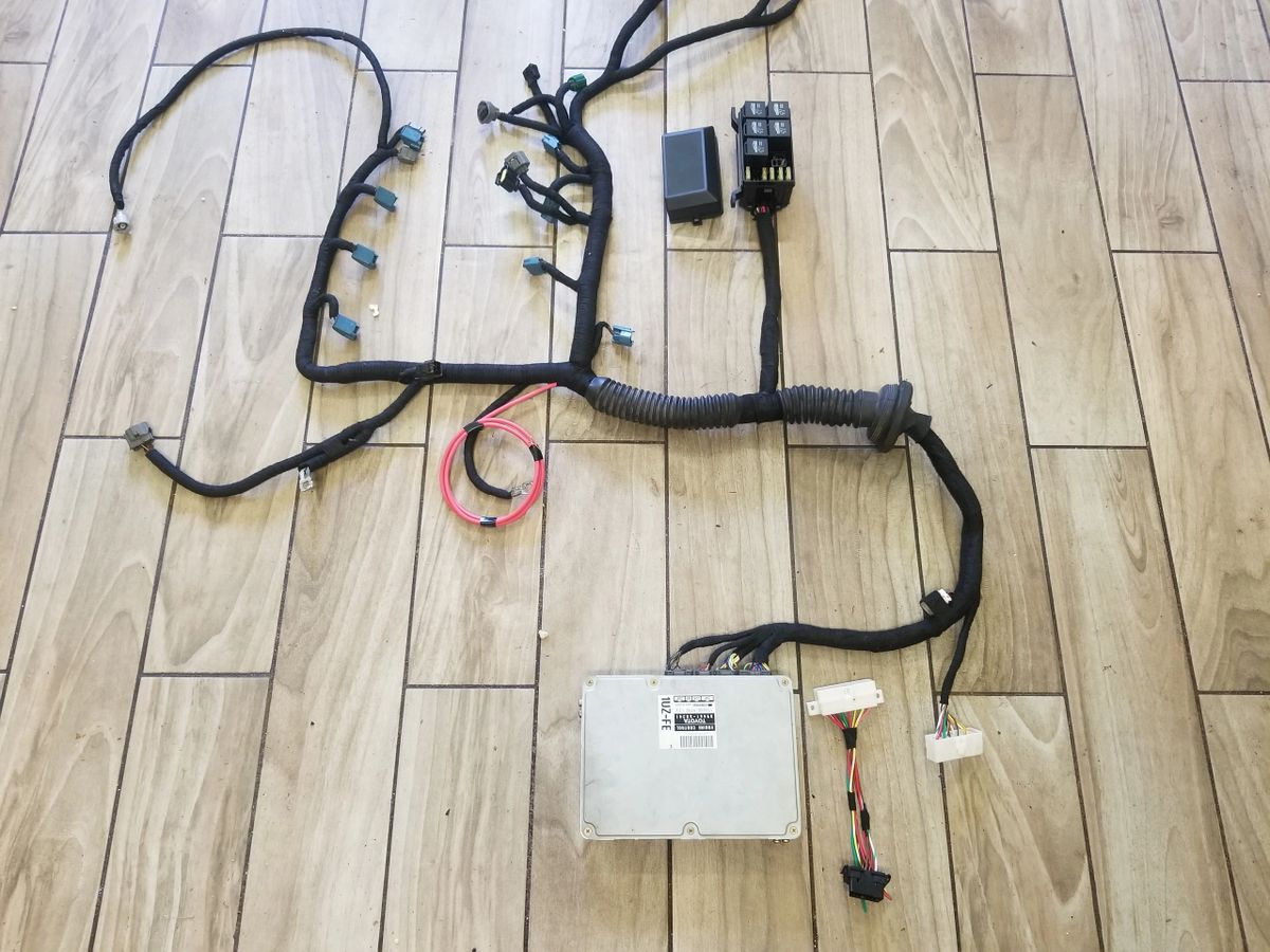 LEXUS V8 WIRING SERVICES